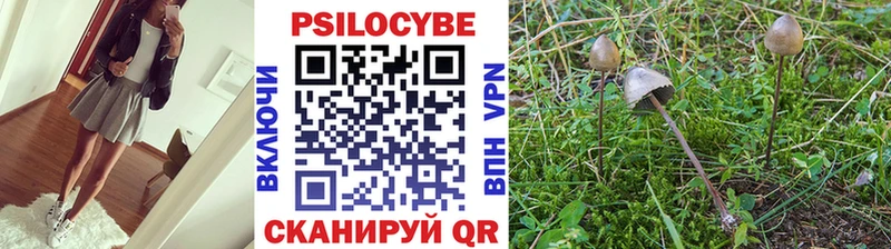 Галлюциногенные грибы Psilocybe  Ельня 